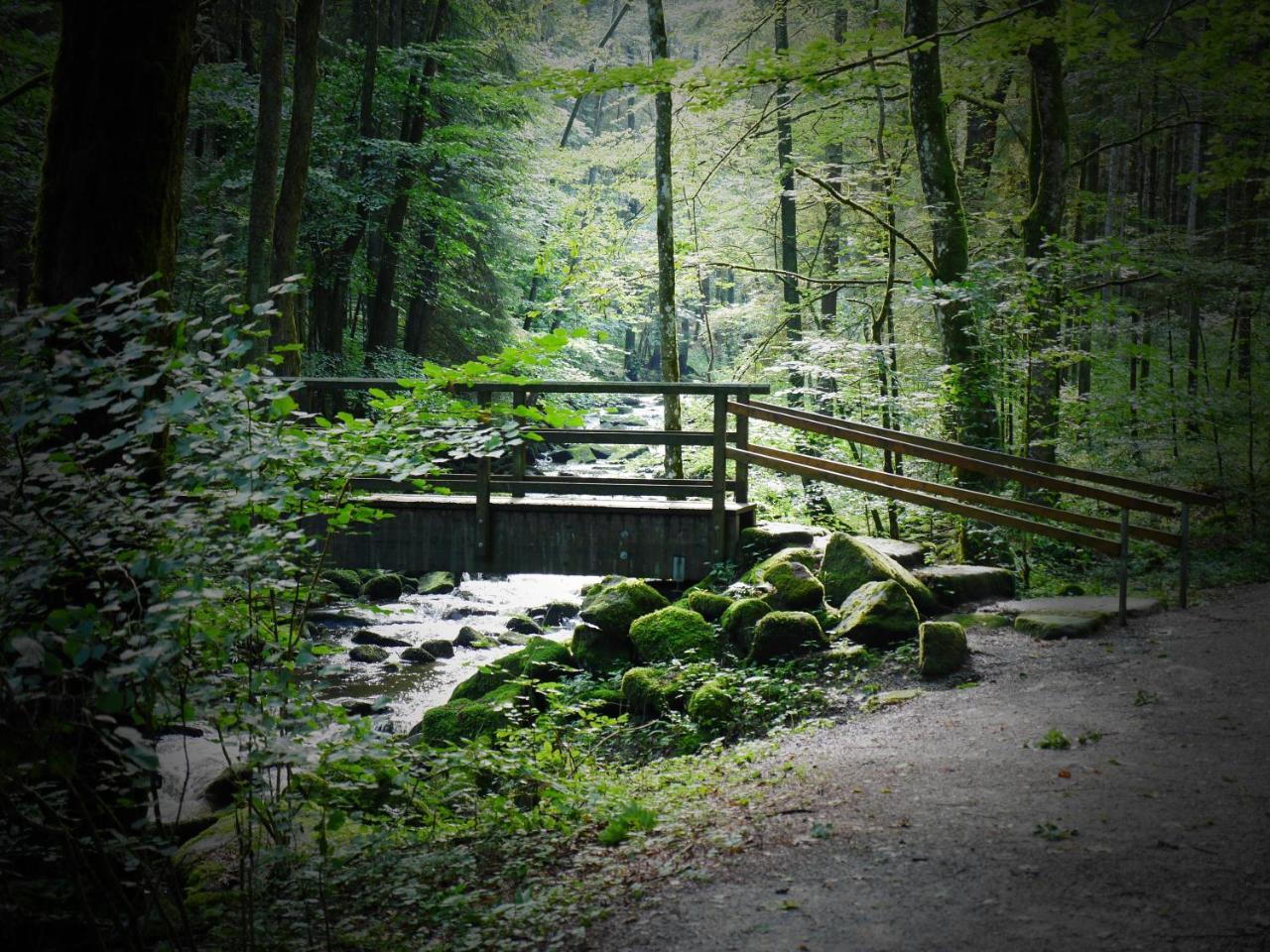 Fewo Kedo Neukirchen vorm Wald Exterior photo