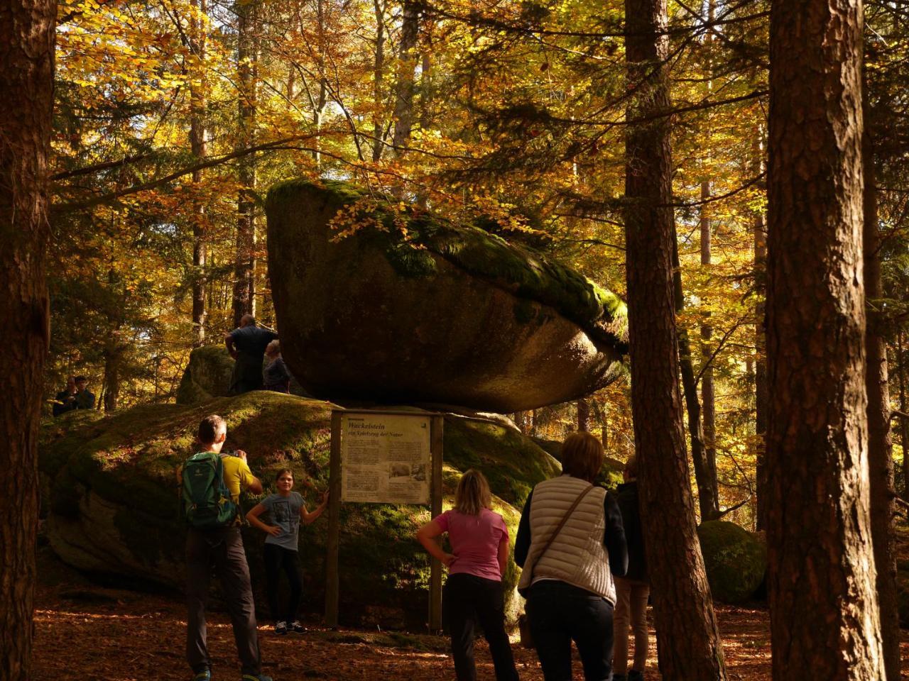 Fewo Kedo Neukirchen vorm Wald Exterior photo