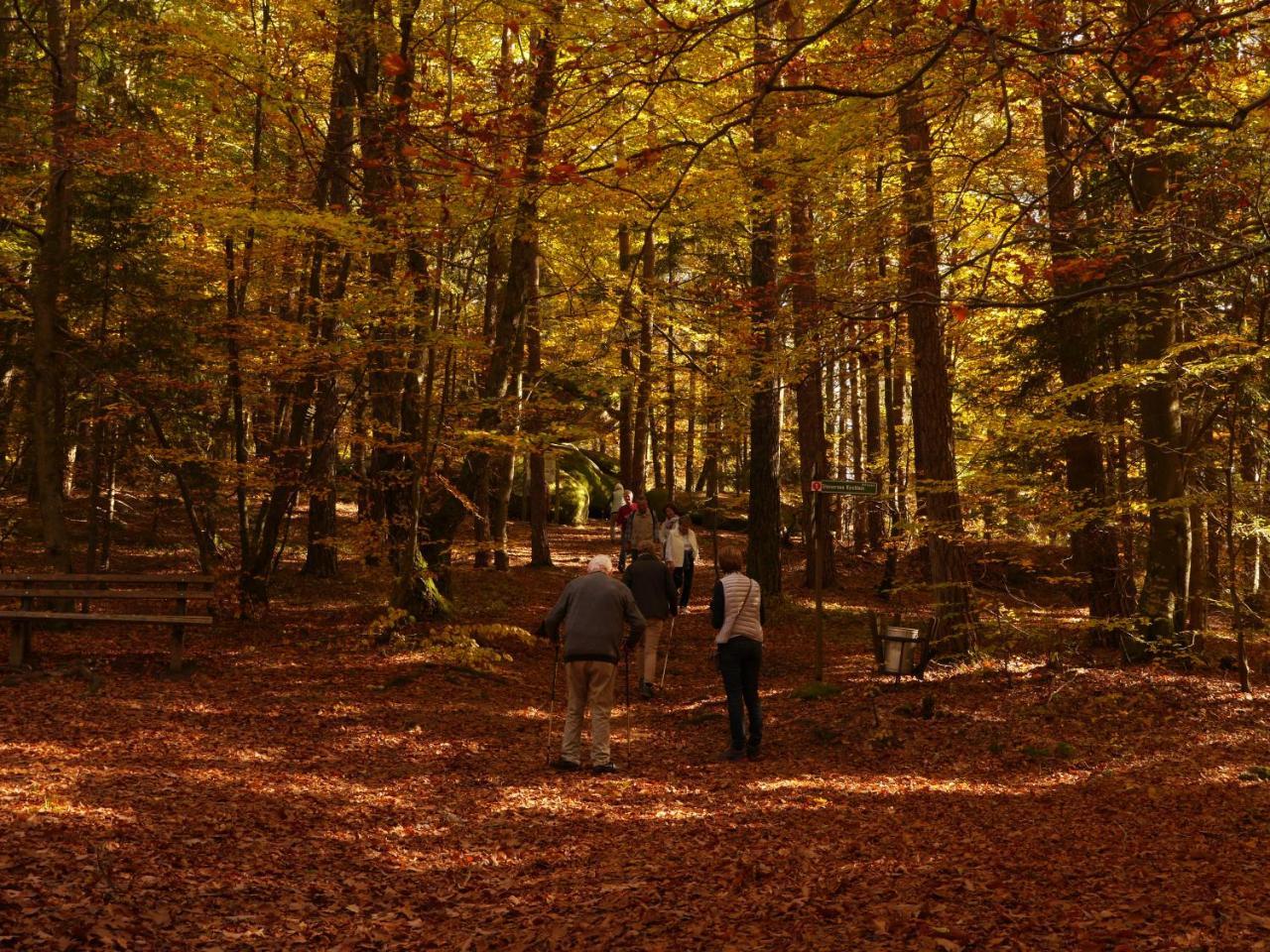 Fewo Kedo Neukirchen vorm Wald Exterior photo