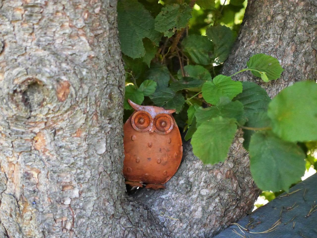Fewo Kedo Neukirchen vorm Wald Exterior photo